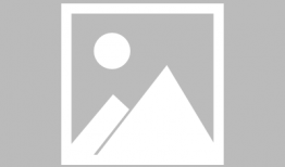 无节操bitch社动漫